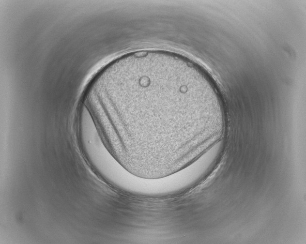 X0000115281509200911271956