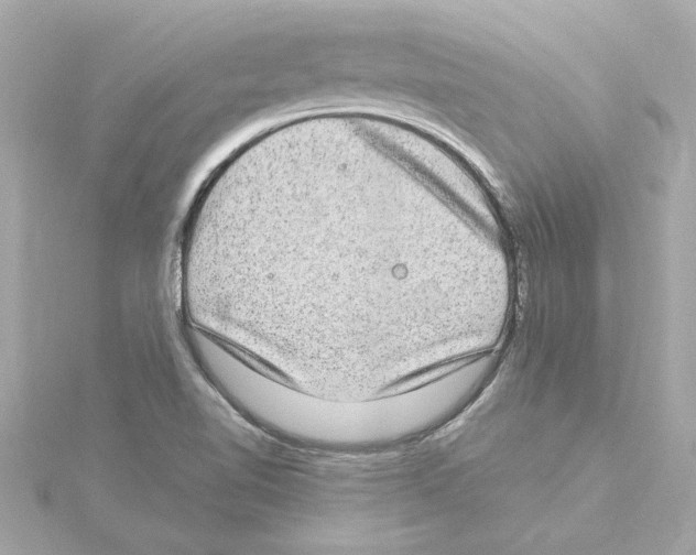 X0000115281510200911271956