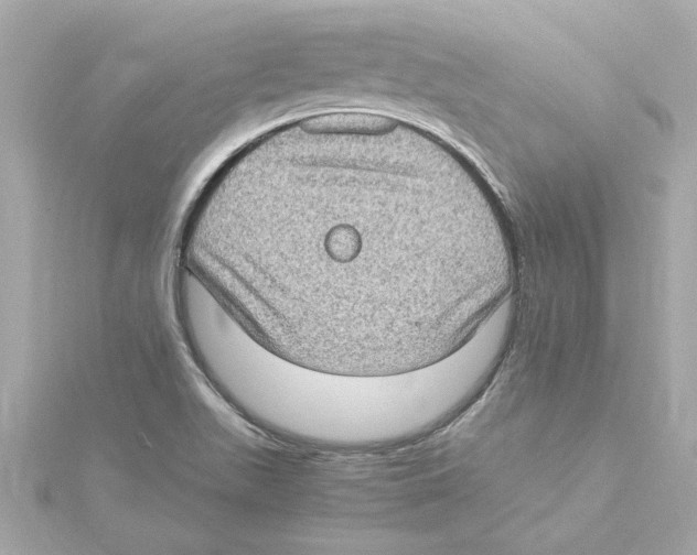 X0000115281511200911271956