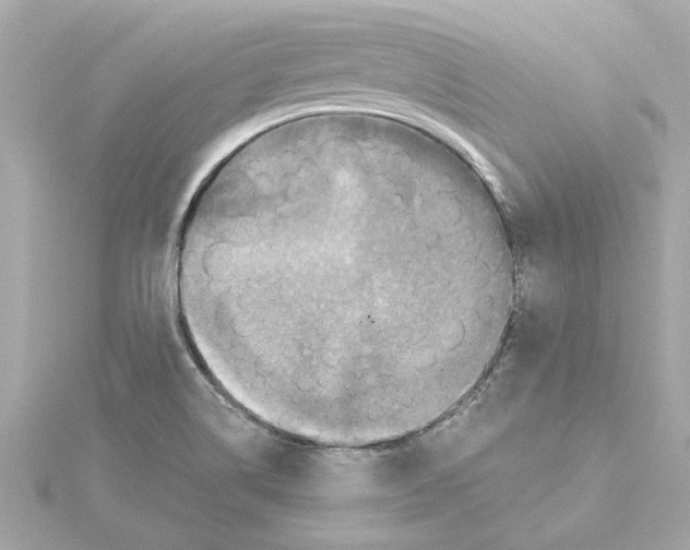 X0000115281514200911271956