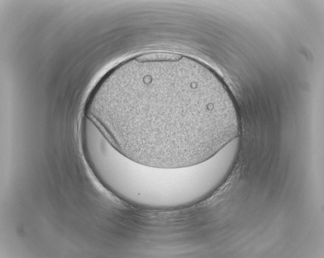 X0000115281515200911271956