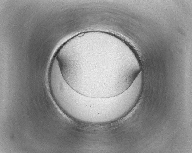 X0000115281517200911271956