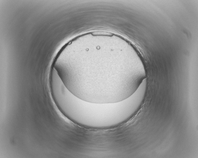 X0000115281519200911271956