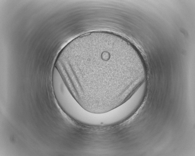 X0000115281521200911271956