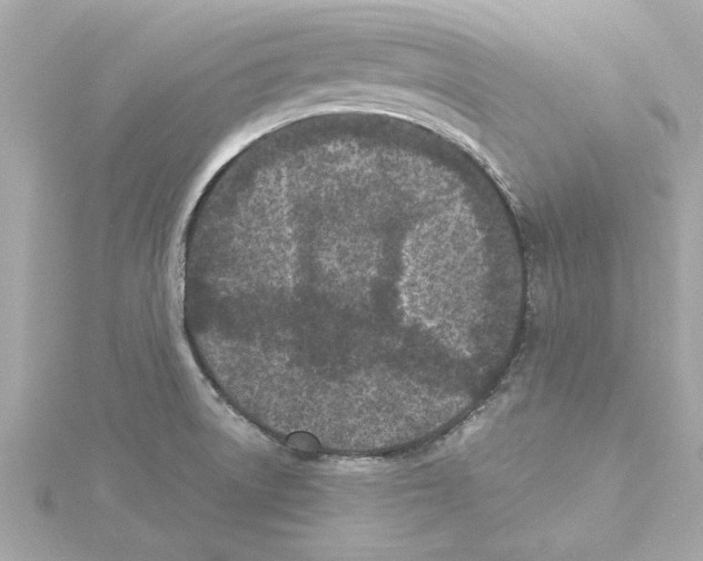 X0000115281522200911271956