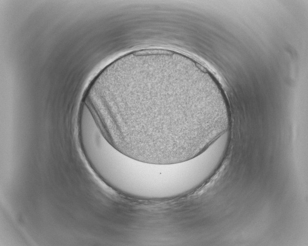 X0000115281525200911271956