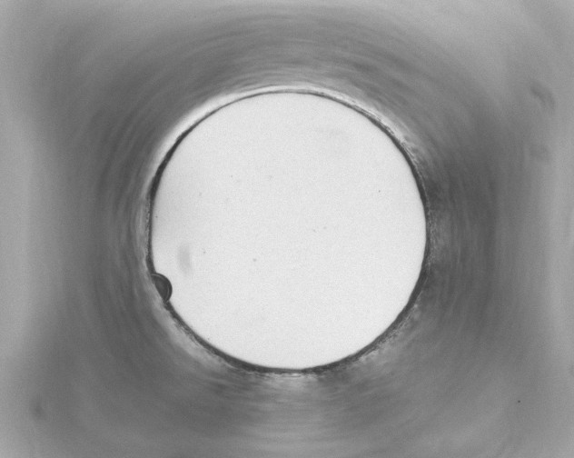 X0000115281526200911271956