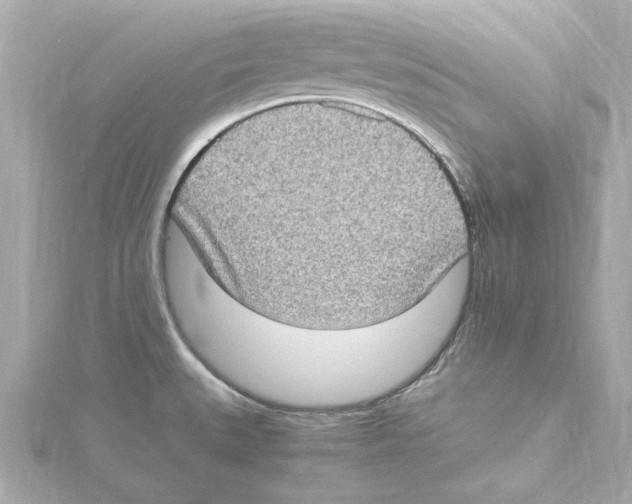 X0000115281527200911271956