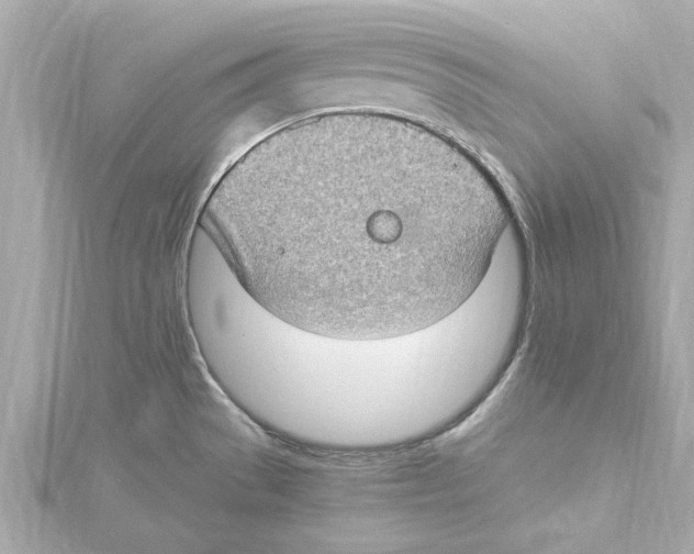 X0000115281529200911271956