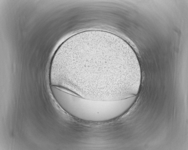 X0000115281530200911271956