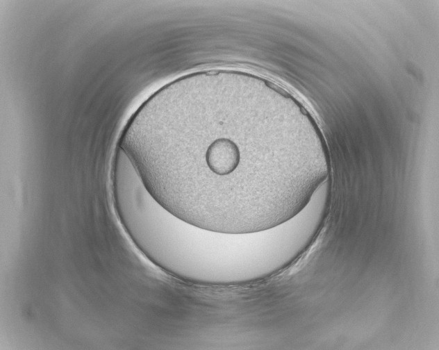 X0000115281533200911271956