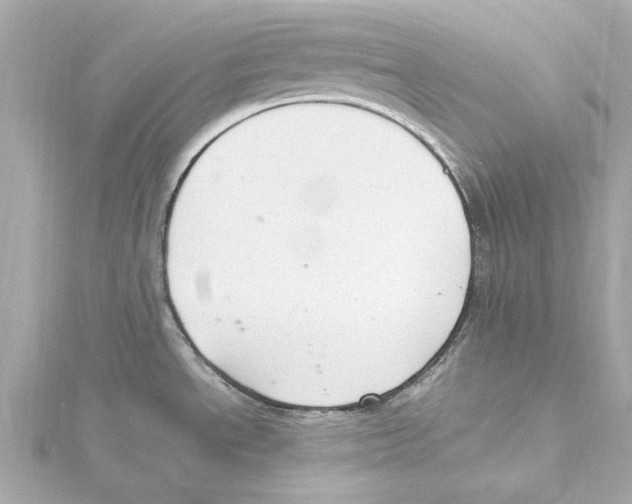 X0000115281534200911271956