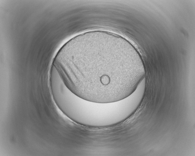 X0000115281535200911271956