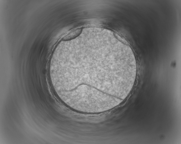 X0000115280001200912111237