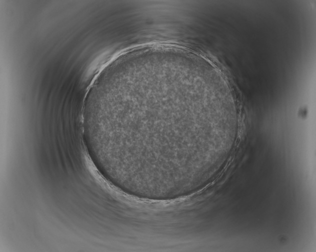 X0000115280002200912111237