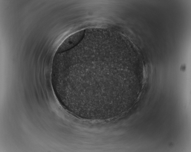 X0000115280003200912111237