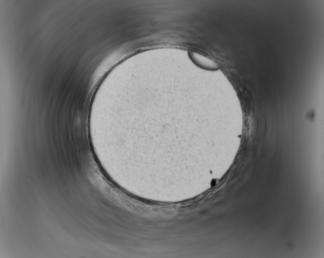 X0000115280004200912111237