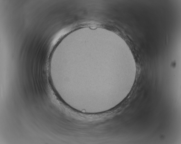 X0000115280006200912111237