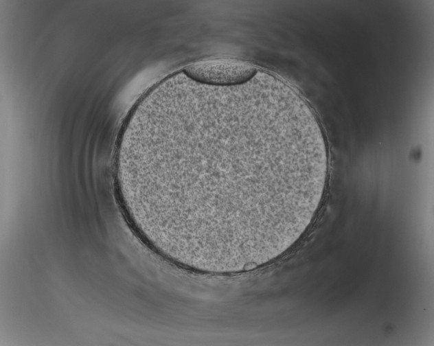 X0000115280007200912111237