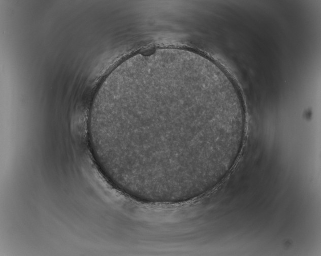 X0000115280009200912111236