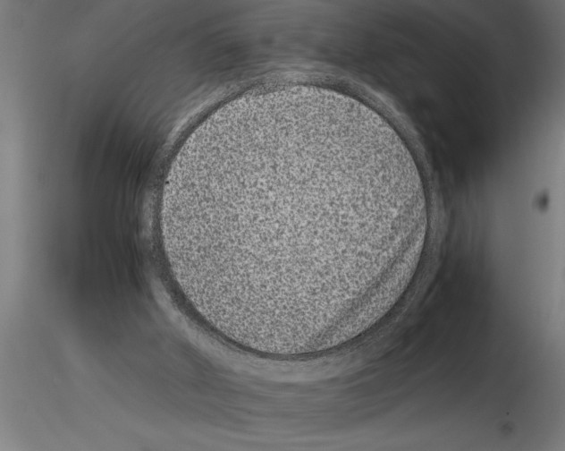 X0000115280010200912111236