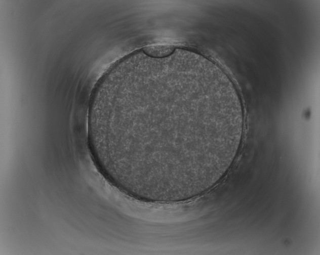 X0000115280011200912111236