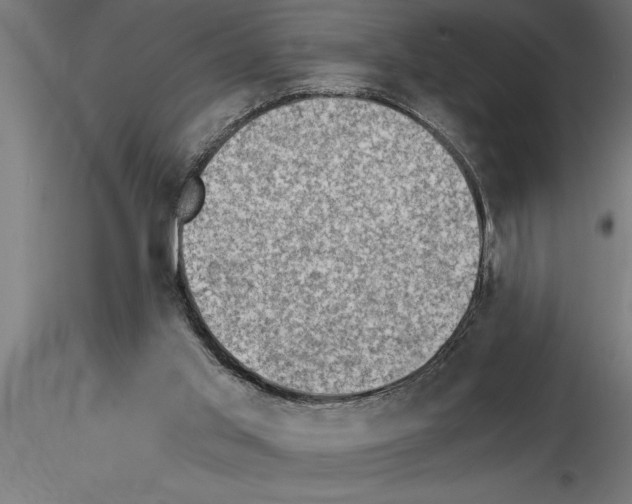 X0000115280013200912111236