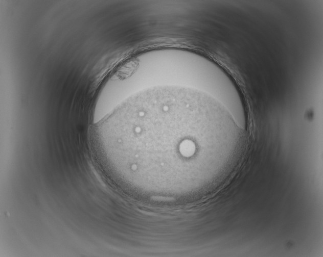 X0000115280014200912111236