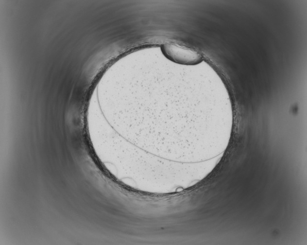 X0000115280015200912111236