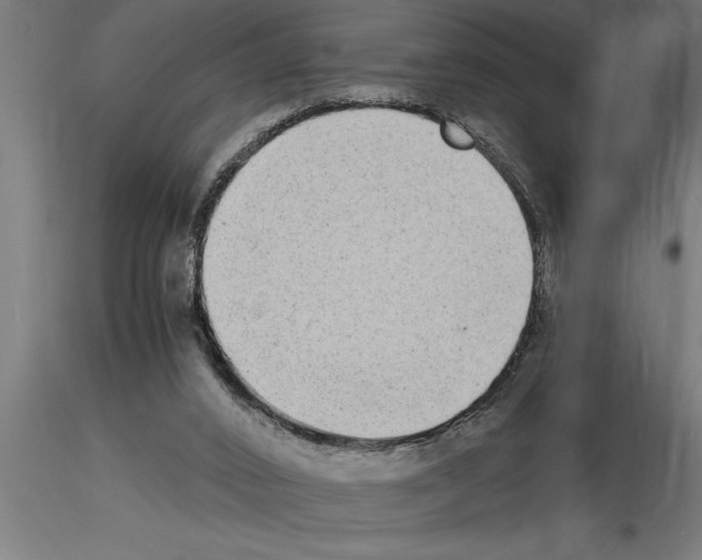 X0000115280016200912111236