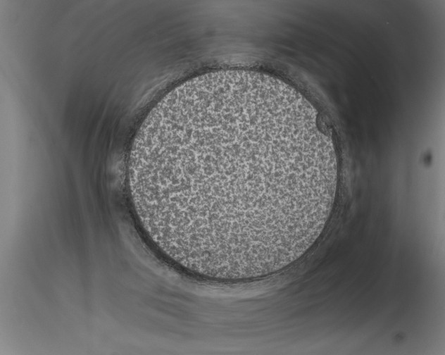 X0000115280017200912111236