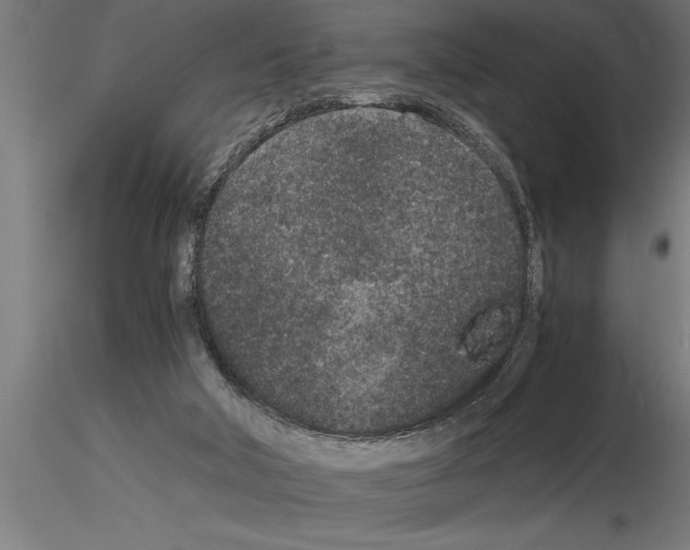 X0000115280018200912111236