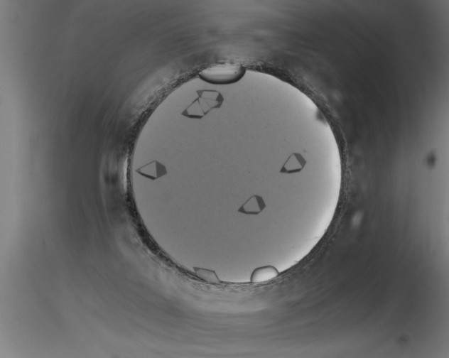 X0000115280019200912111236