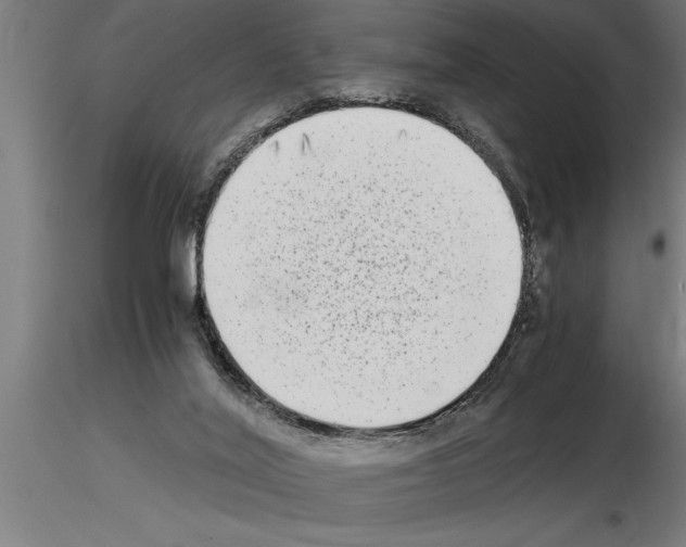 X0000115280020200912111236