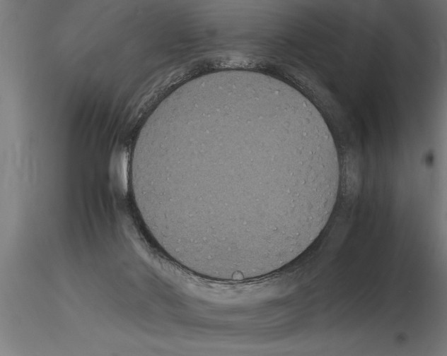 X0000115280022200912111236