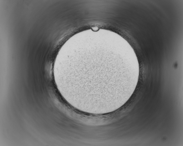 X0000115280024200912111236