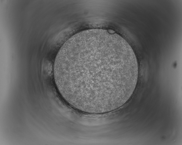 X0000115280025200912111236