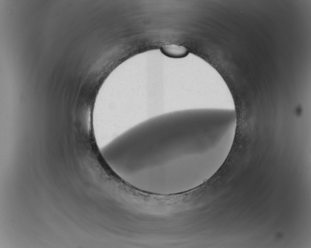 X0000115280027200912111236