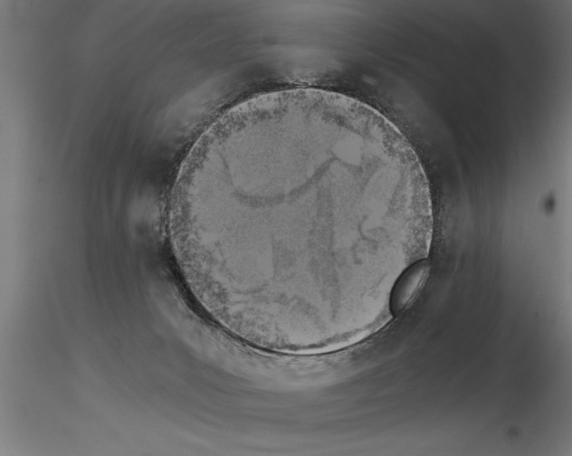 X0000115280031200912111236