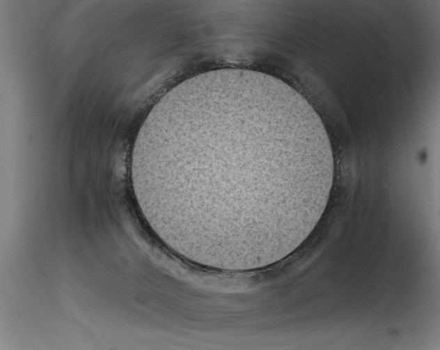 X0000115280032200912111236