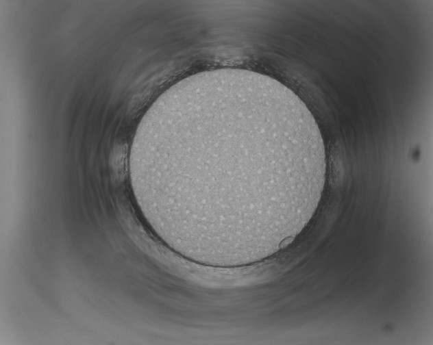 X0000115280034200912111236