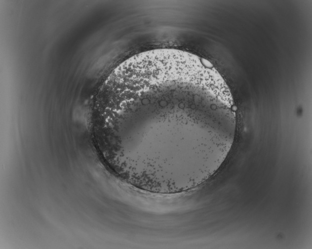 X0000115280035200912111236