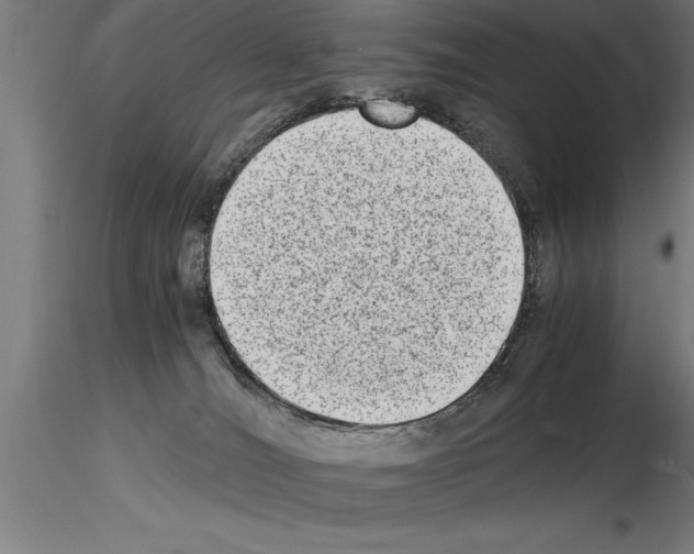 X0000115280036200912111236