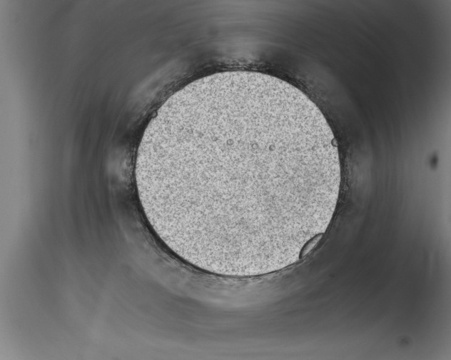 X0000115280037200912111236