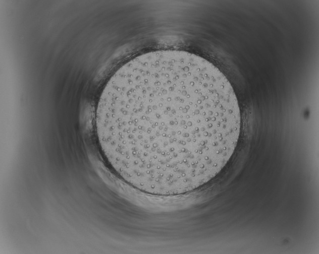 X0000115280038200912111236