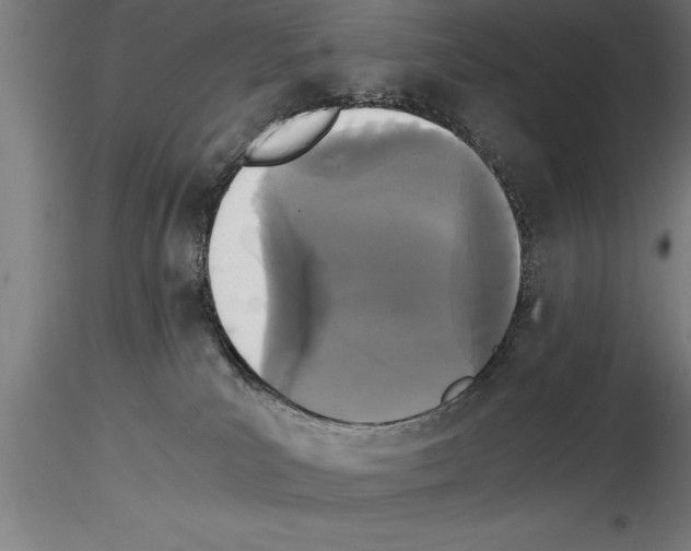 X0000115280039200912111236