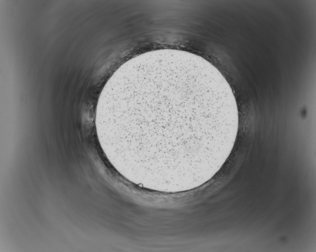 X0000115280040200912111236