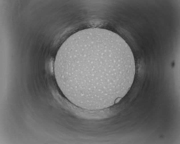 X0000115280042200912111236