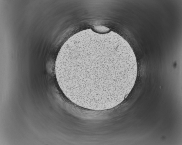 X0000115280044200912111236