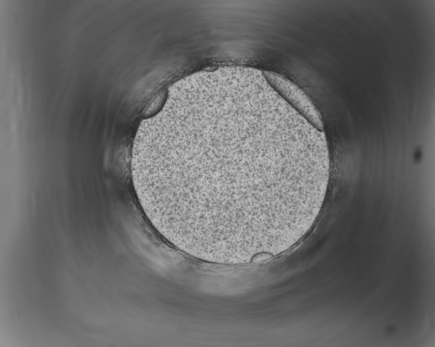 X0000115280045200912111236